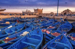 Day Trip to Essaouira From Marrakech