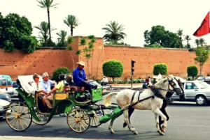 Horse-Drawn Carriage Tour in Marrakech