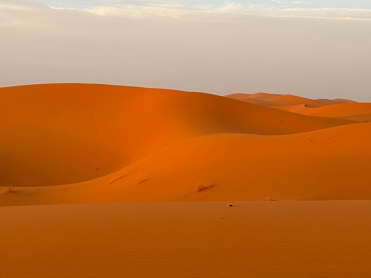 Great Customer Experience with AtlasTripTours 4