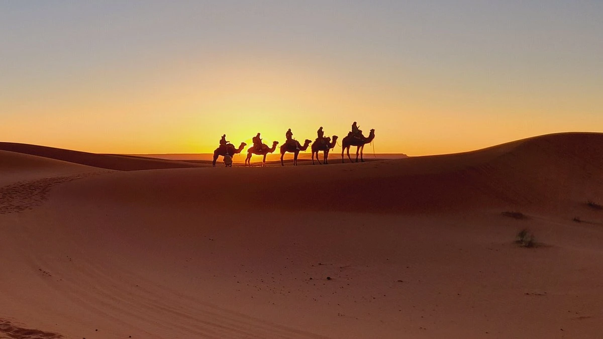 Great Customer Experience with AtlasTripTours 5