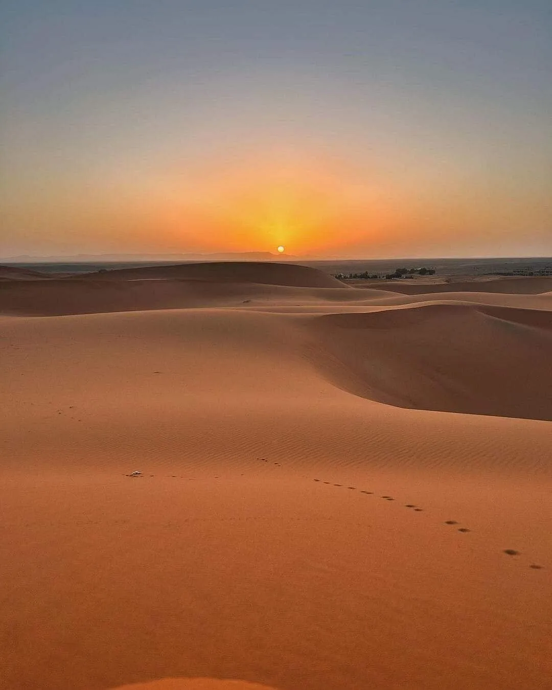 Great Customer Experience with AtlasTripTours 8