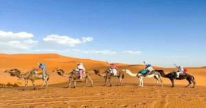 Morocco Sand Dunes and Oases Tour