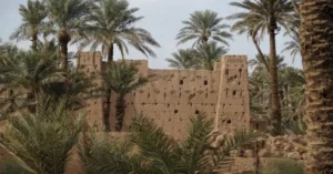 Oasis, Dunes, and Jbel of Tazzarine Adventure